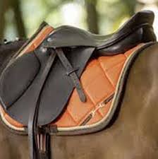 Kanpur saddlery detail 1